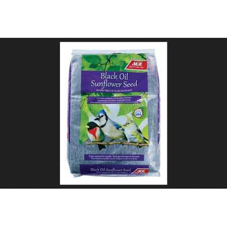 Black Oil Sunflower Seed Wild Bird Food C251