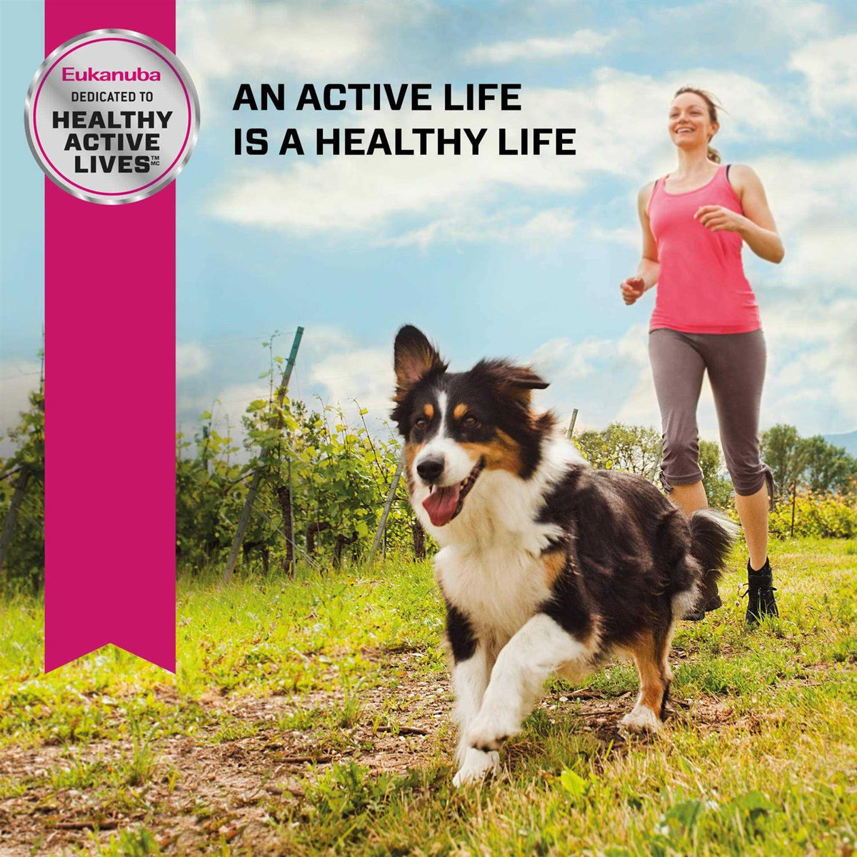 Adult Small Breed Dry Dog Food P562