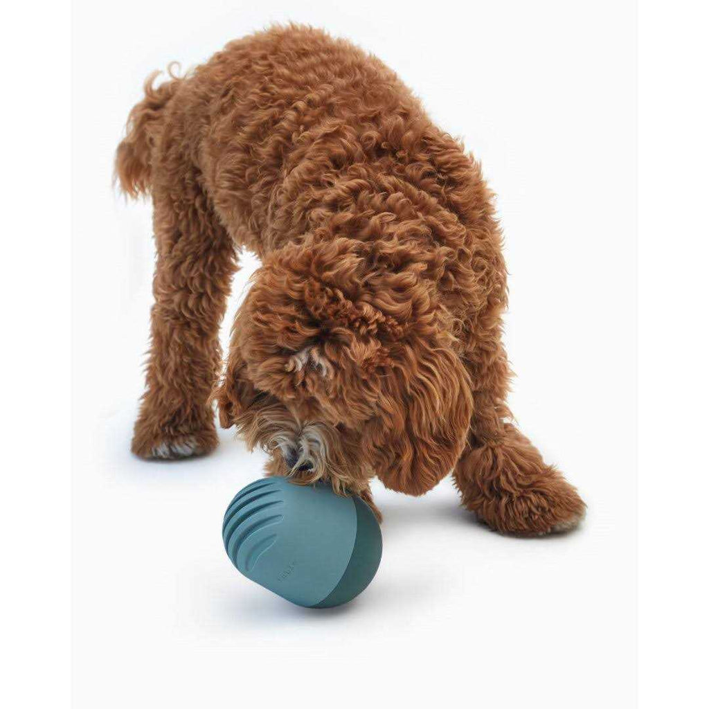 Dog Toy N5651