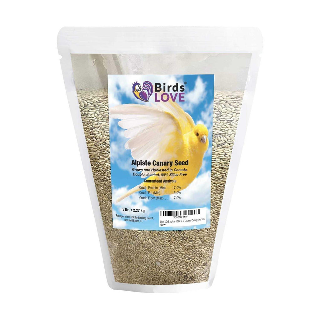 Canary Seed for Canaries and Finch Birds R470852
