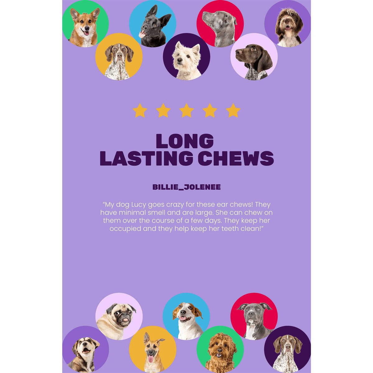 Dog Chews H972831