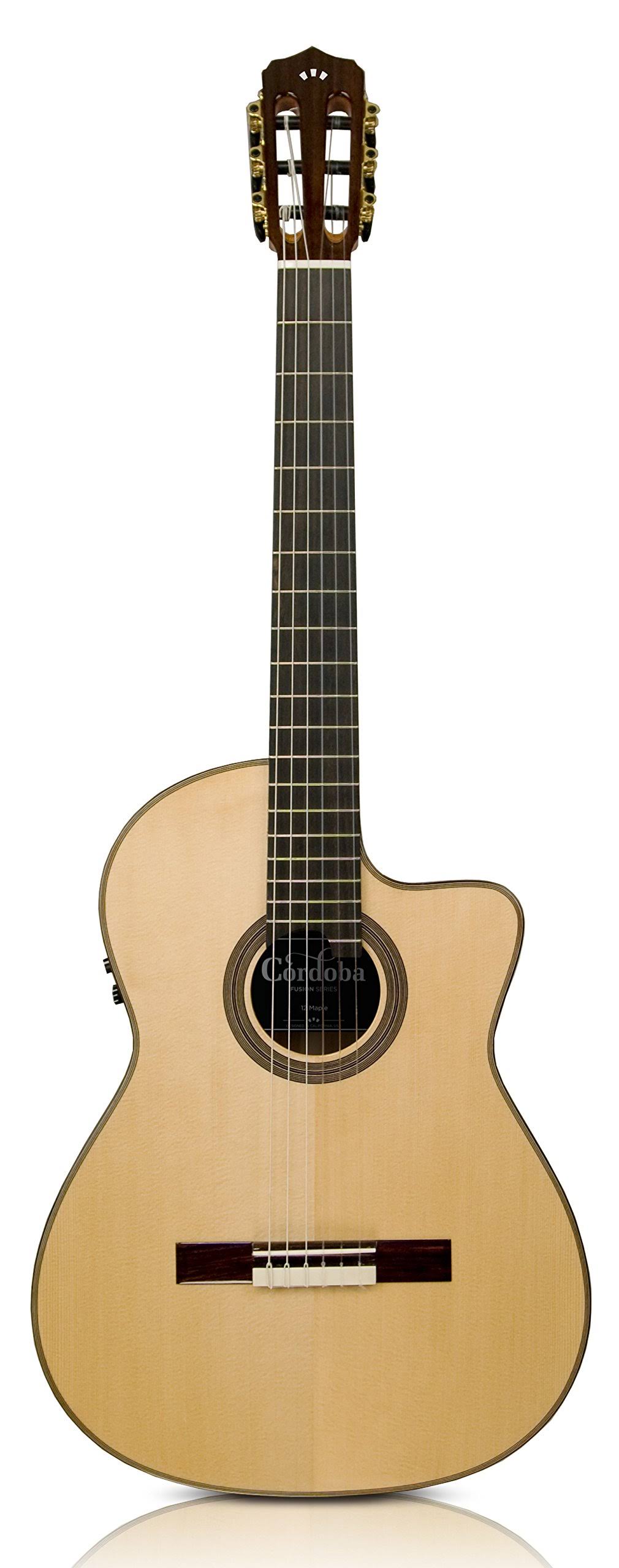 Acoustic Electric Nylon String Guitar W202