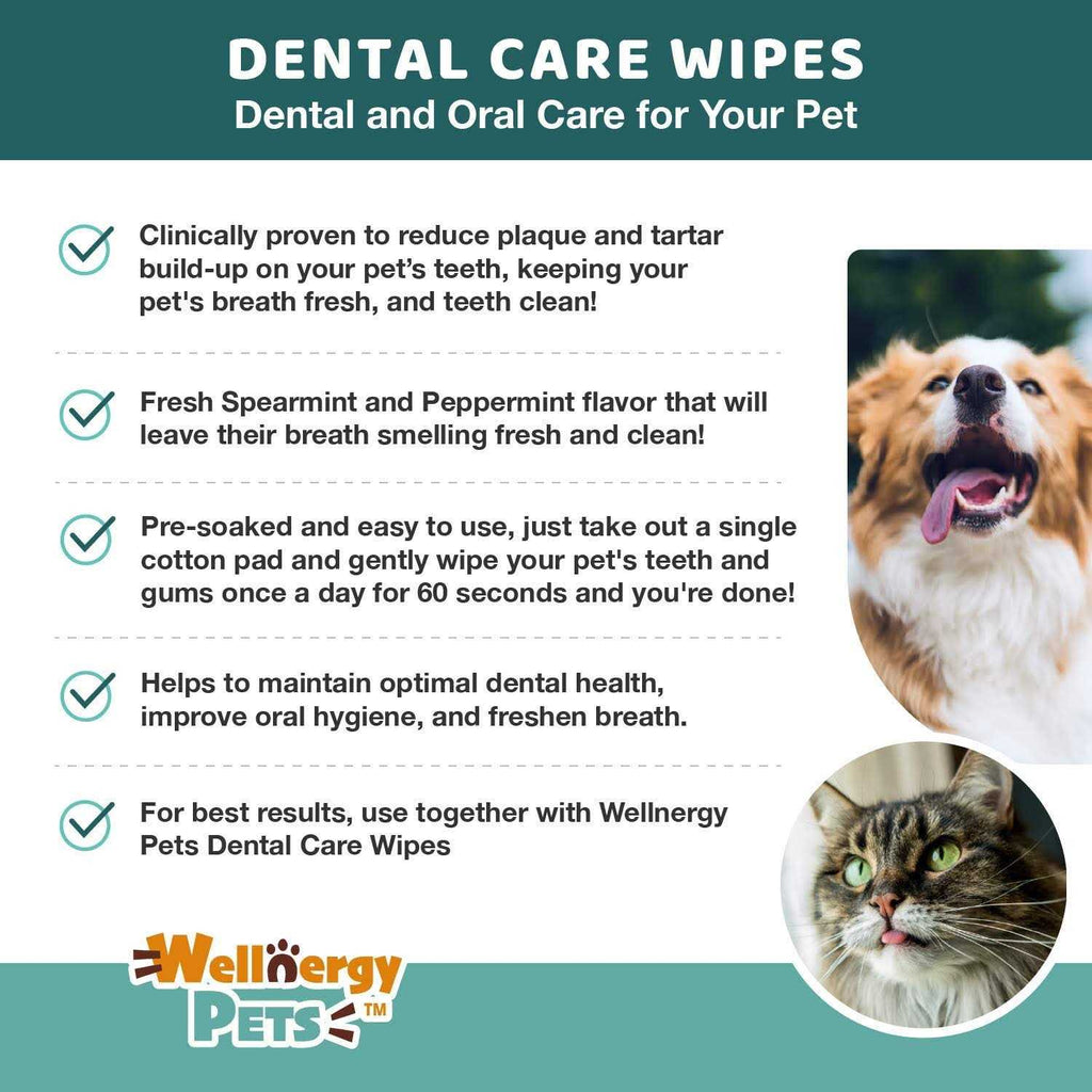 Dental Care Wipes for Dogs U403959