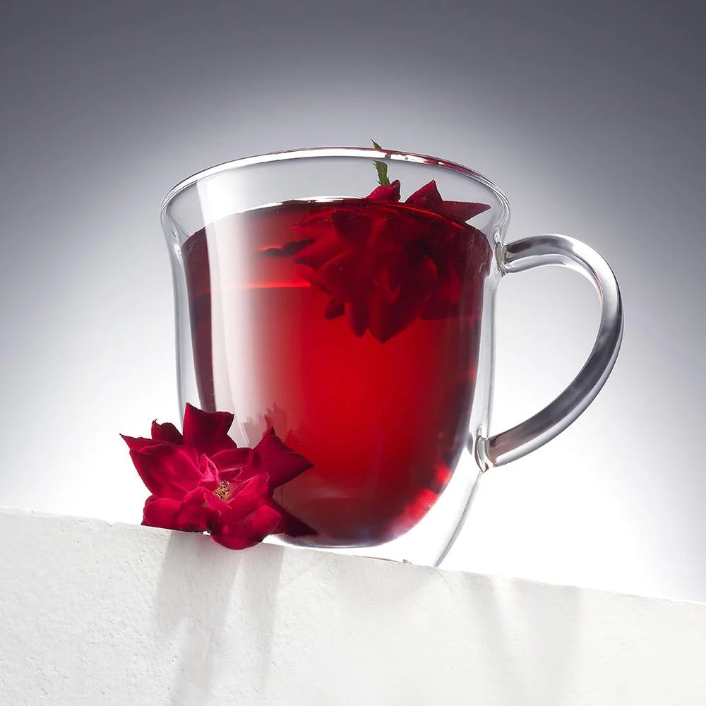 Glass Double Wall Insulated Coffee Mug Set of 2 13.5 oz E81662