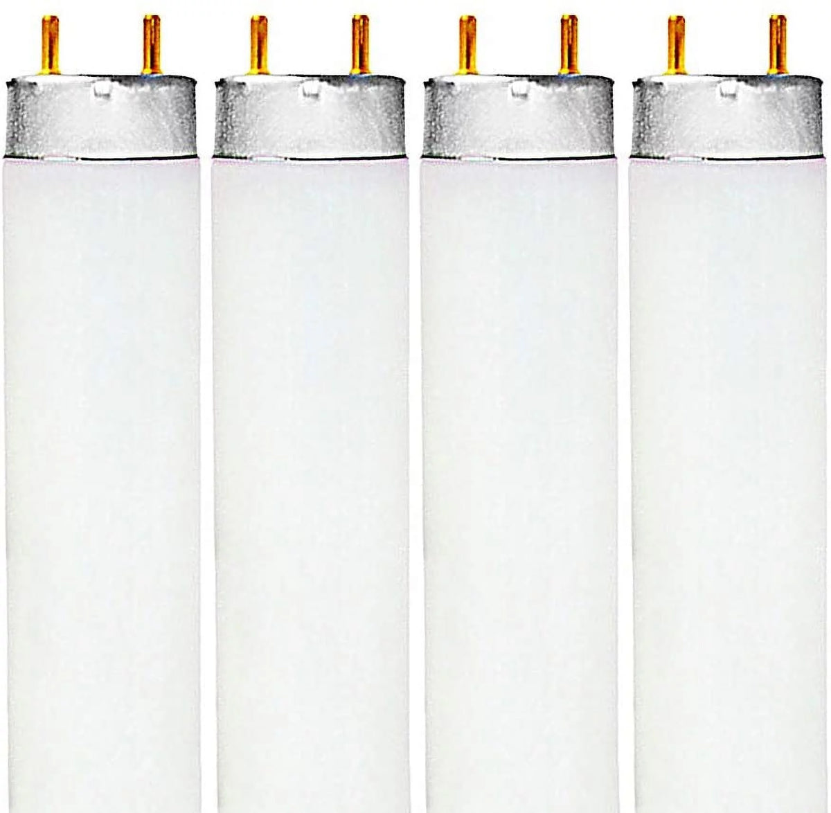 Fluorescent Light Bulb C7726