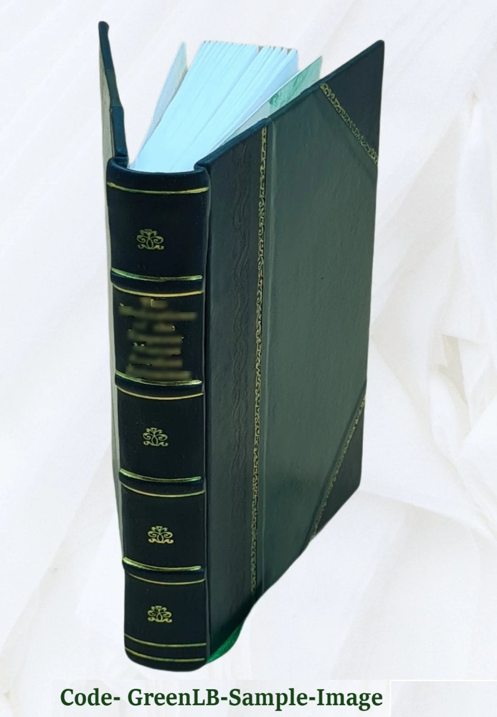 Leather Bound Bookbindings and Rubbings of Bindings O929094