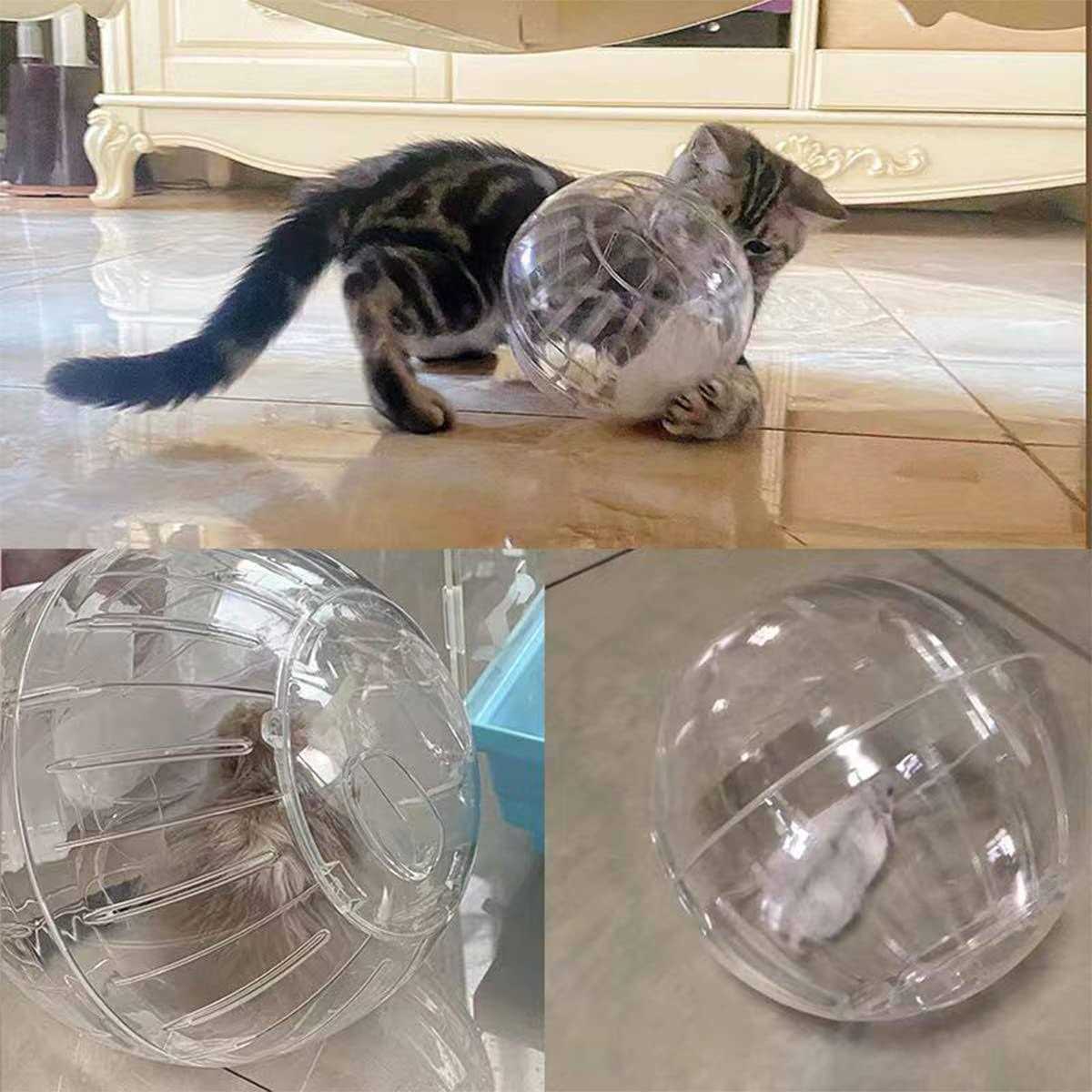 Hamster Exercise Ball Transparent V77268