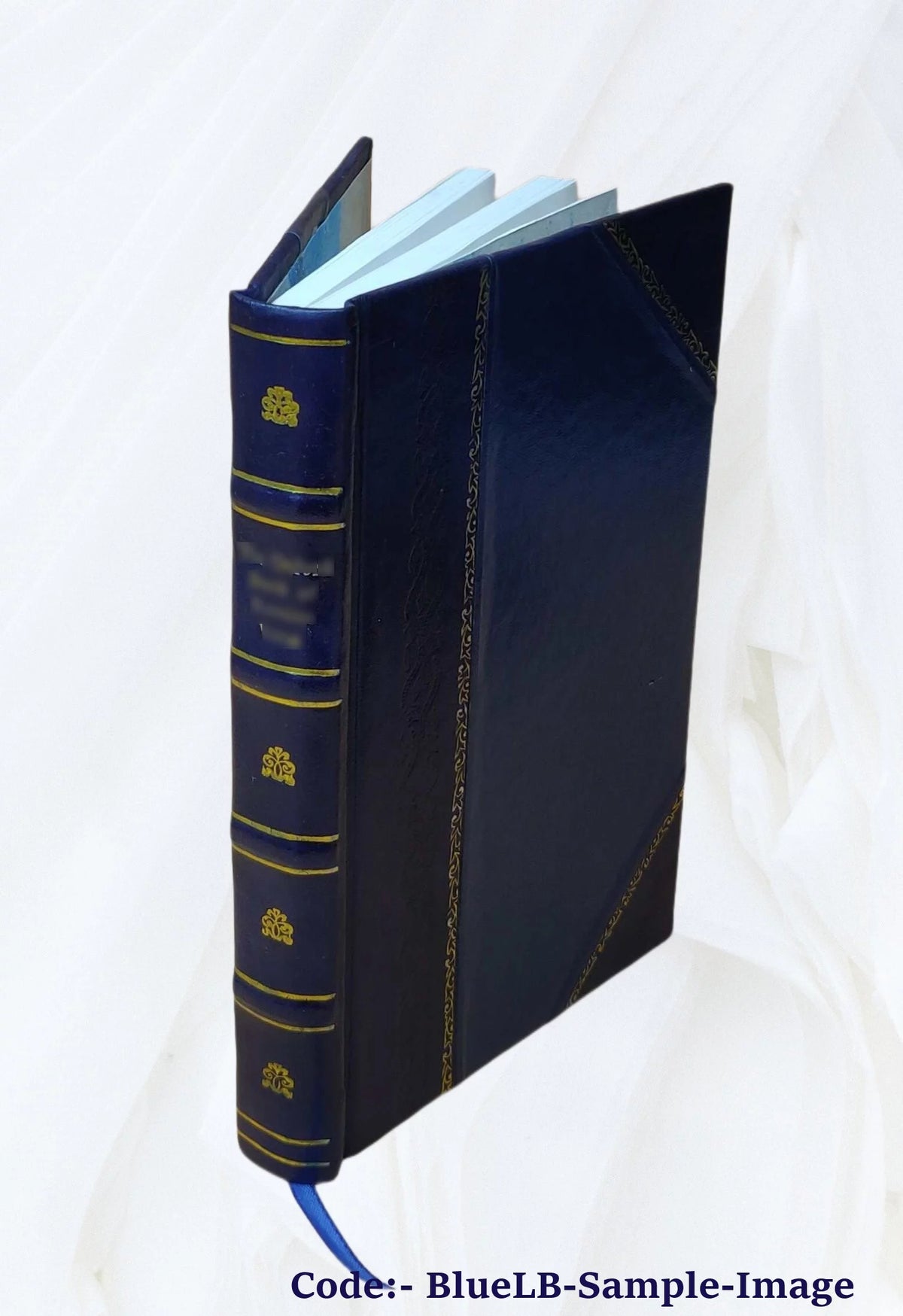 Rio de Janeiro Piauhy Travel Impressions Leather Bound A663905