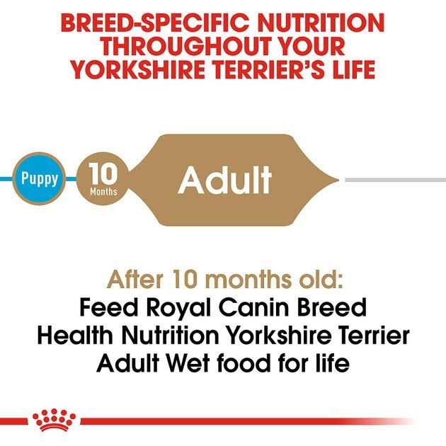 Adult Loaf In Sauce Dog Food T797