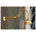 Shower Head with Extended Arm S36949