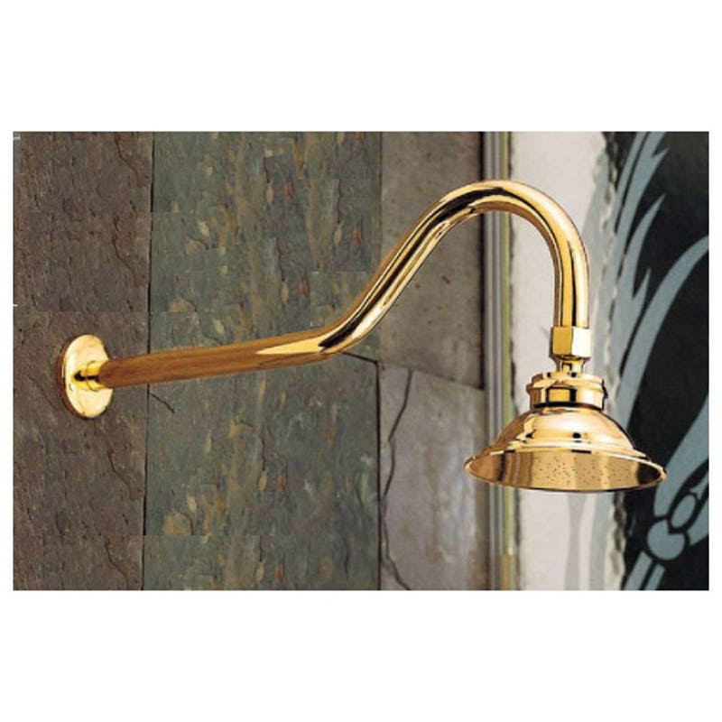 Shower Head with Extended Arm S36949