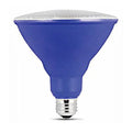 PAR38 LED Bulb, Case of 4 I542