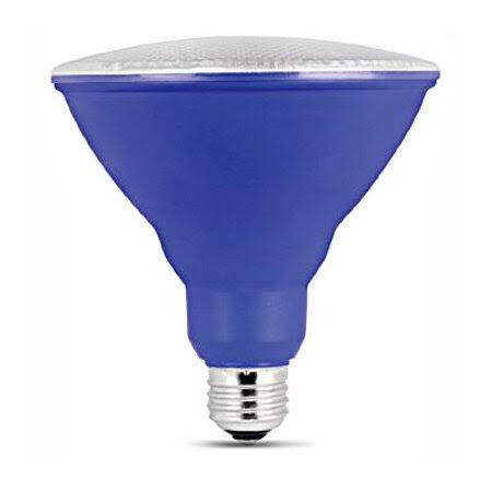 PAR38 LED Bulb, Case of 4 I542