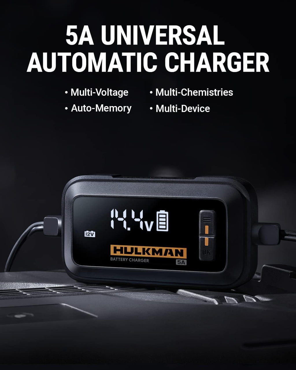 2 Pack 6V/12V Car Battery Charger and Maintainer with LED Screen Desulfator B696