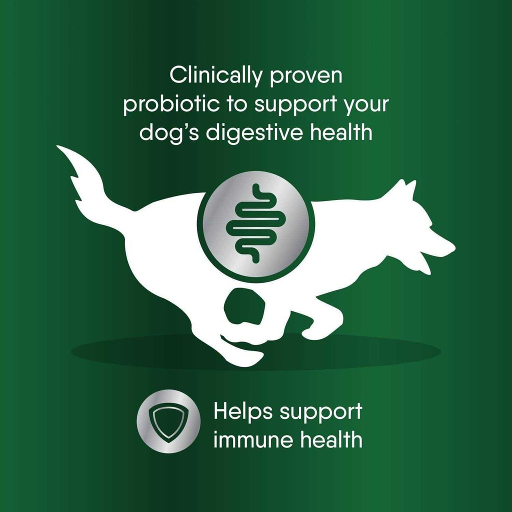Probiotic Supplement Powder for Dogs J1957