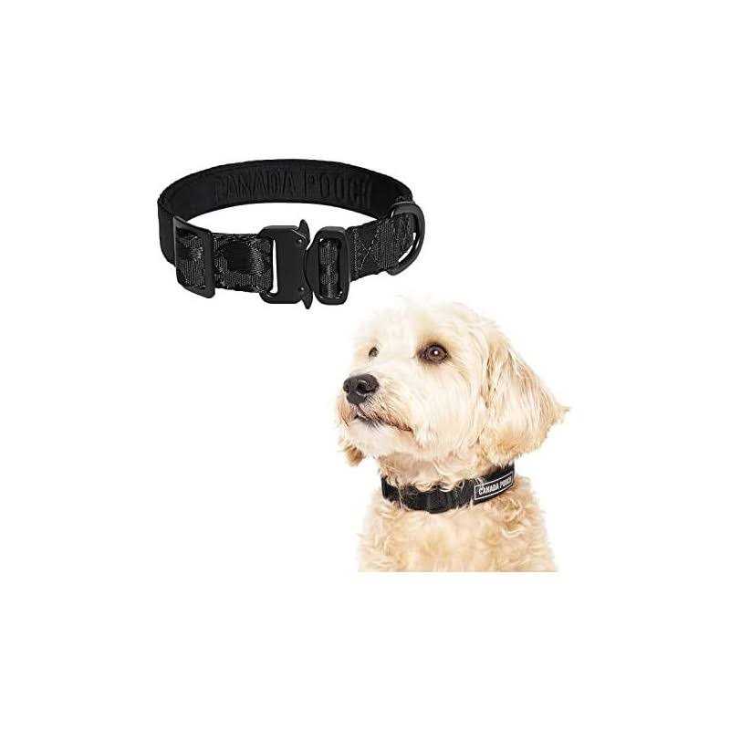 Utility Dog Collar M2259