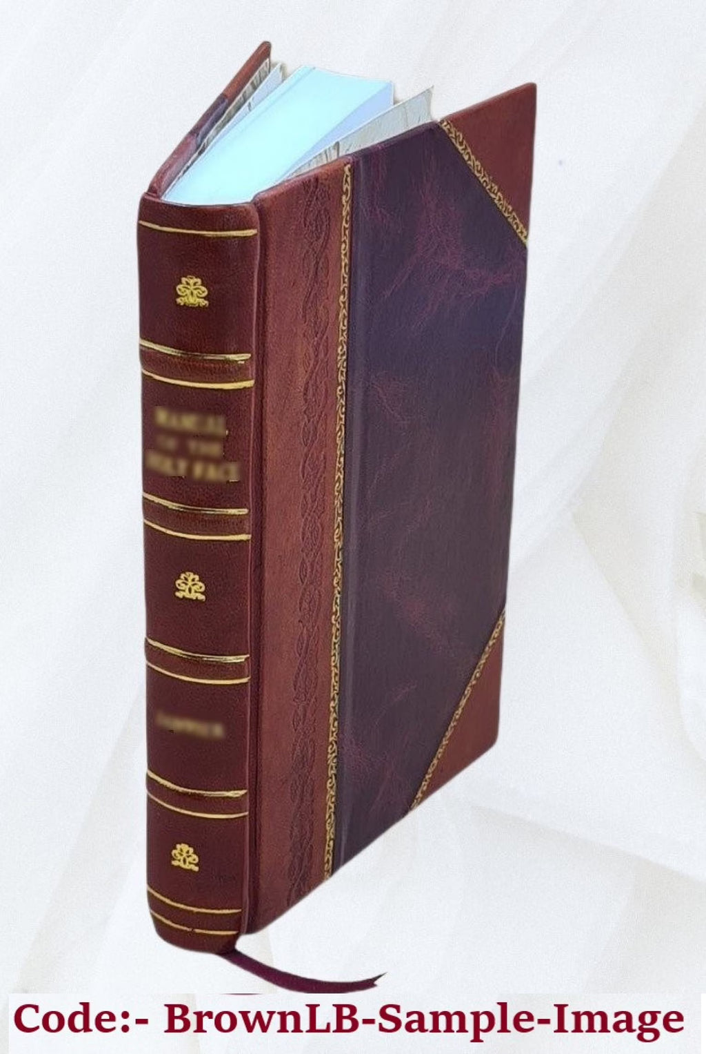 Leather Bound Bookbindings and Rubbings of Bindings O929094