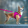 Air-Mesh Dog Harness Q51841