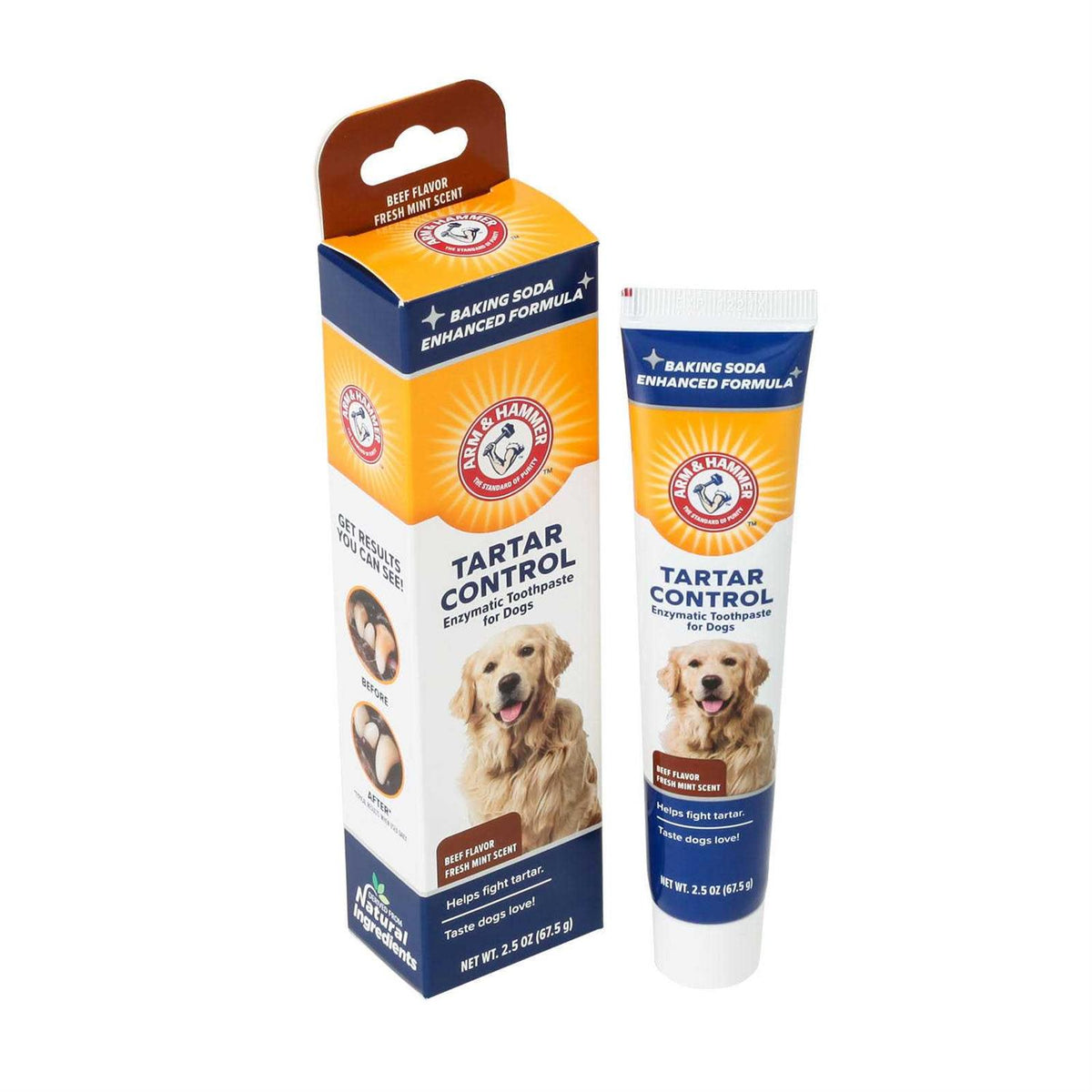 Tartar Control Enzymatic Toothpaste for Dogs B101