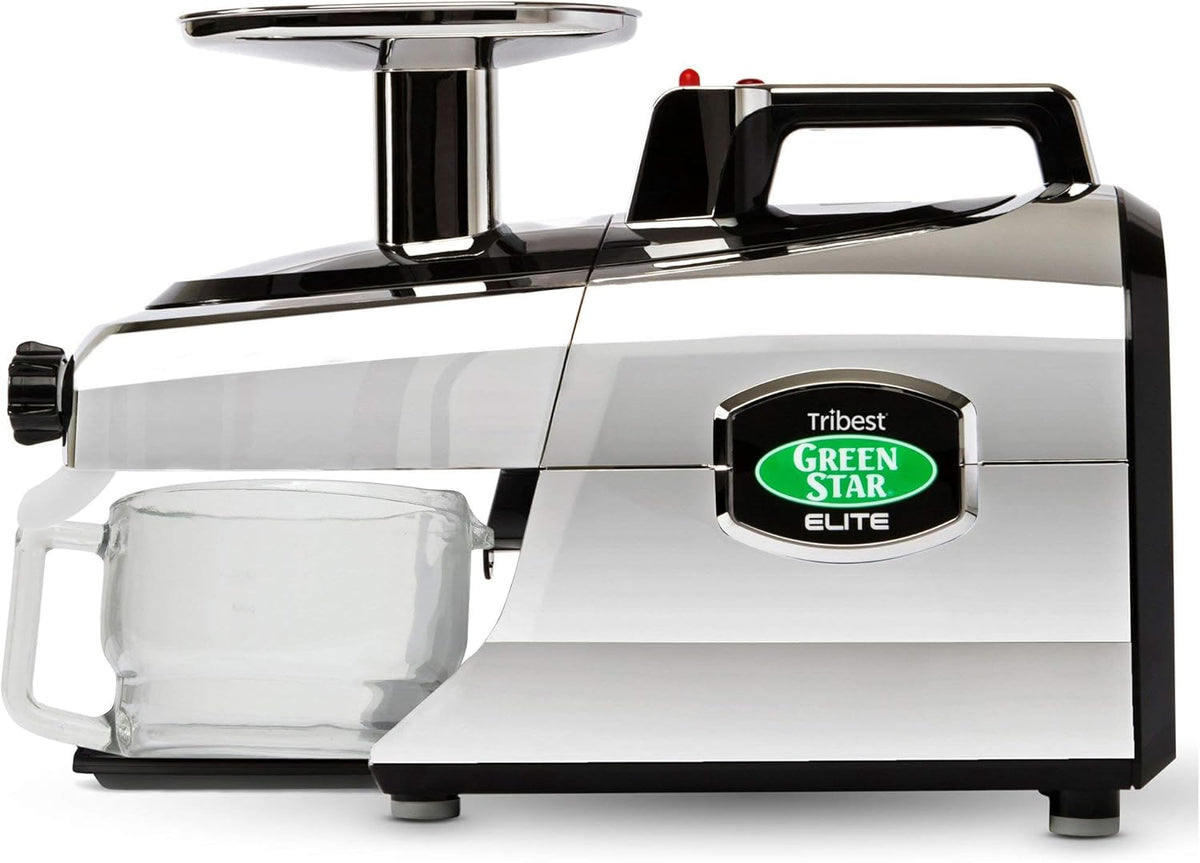 Cold Press Masticating Slow Juicer with Twin Gears N90468