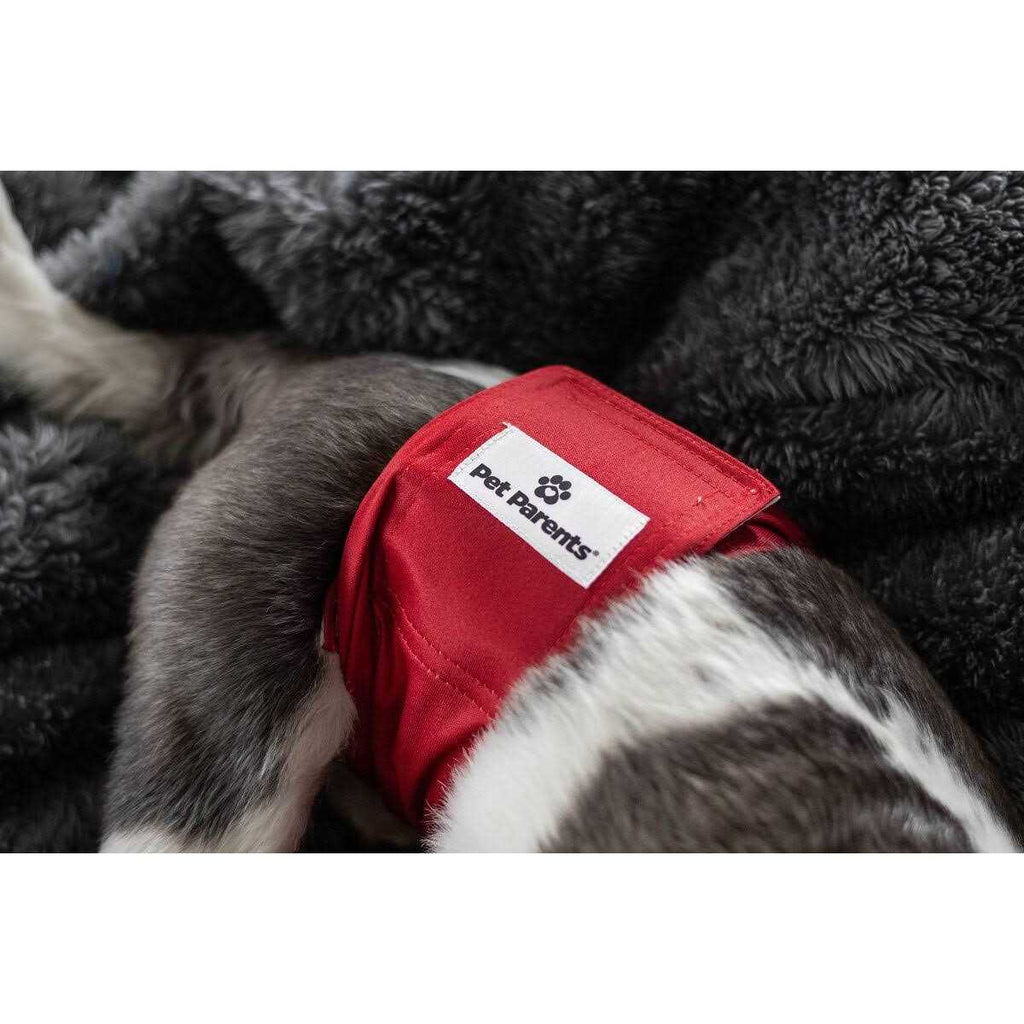 Washable Dog Belly Bands H556097