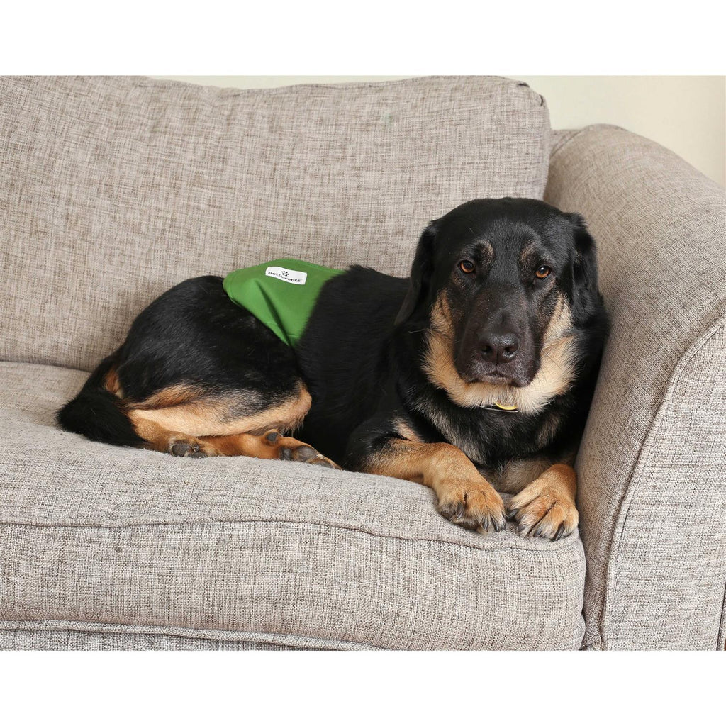 Washable Dog Belly Bands H556097