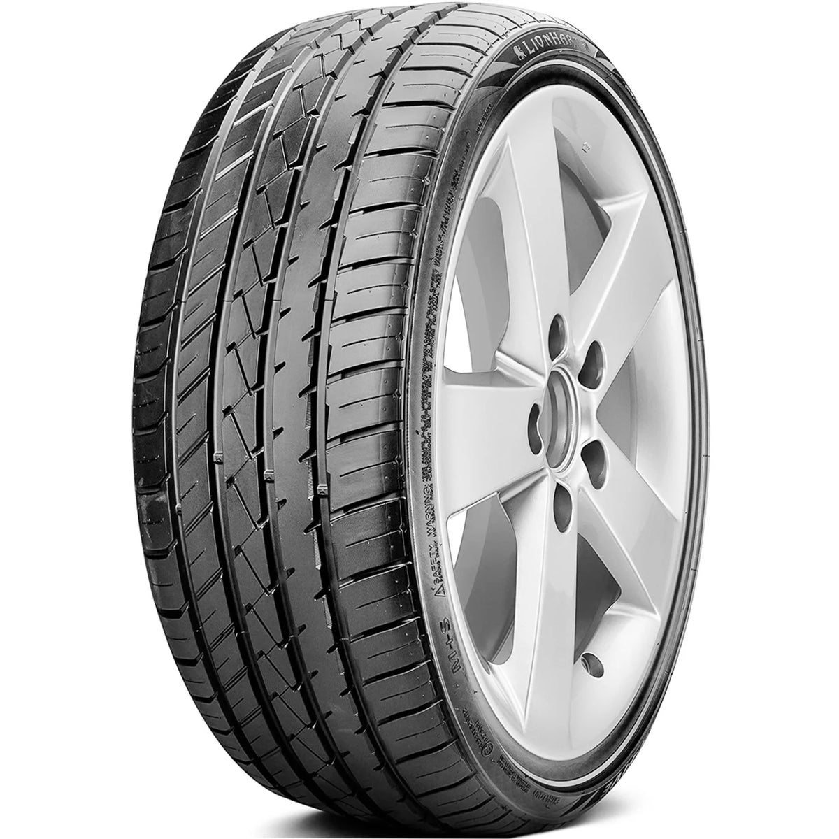 255/40ZR20 101W XL AS Performance Tire P263