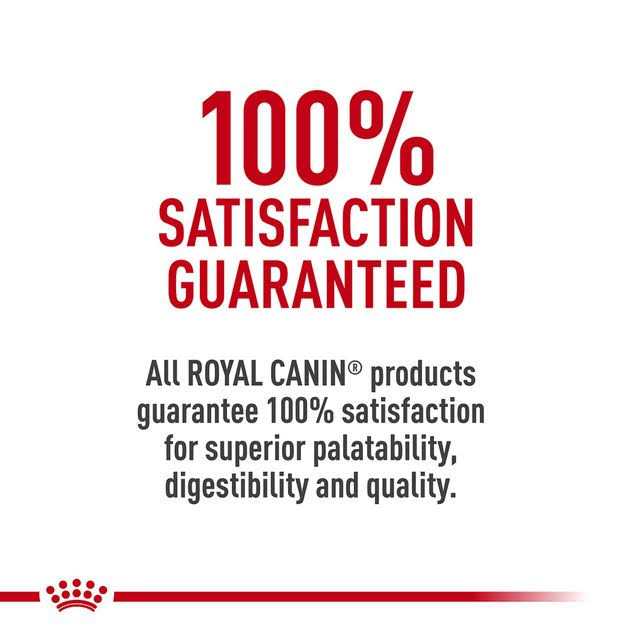 Hydrolyzed Protein Feline Treats K508