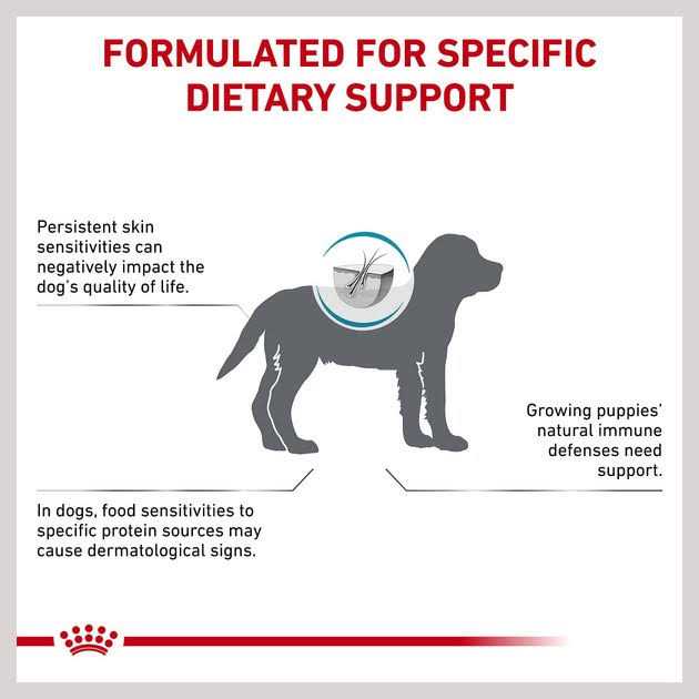 Hydrolyzed Protein Puppy Dry Dog Food I6193
