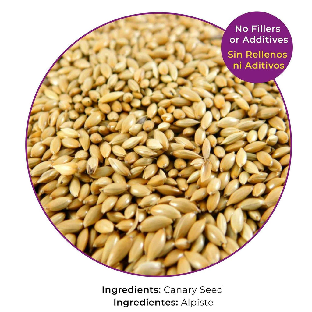 Canary Seed for Canaries and Finch Birds R470852