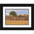 18x13 Black Ornate Wood Framed Art Print S140798