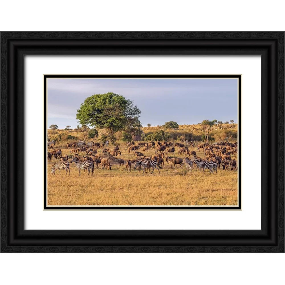 18x13 Black Ornate Wood Framed Art Print S140798