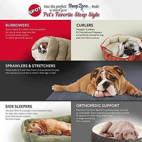 Quilted Oval Cuddler Pet Bed O122845