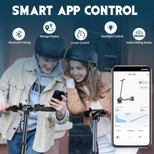 Electric Scooter with Folding, Solid Tires, Dual Braking, Cruise Control T179