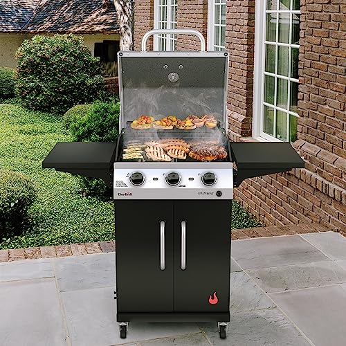 2-Burner Propane Gas Stainless Steel Grill L3520