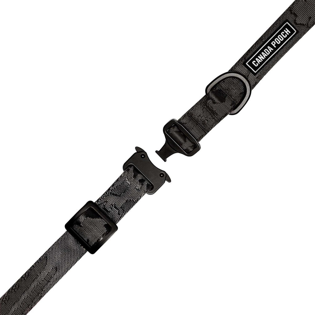 Utility Dog Collar M2259