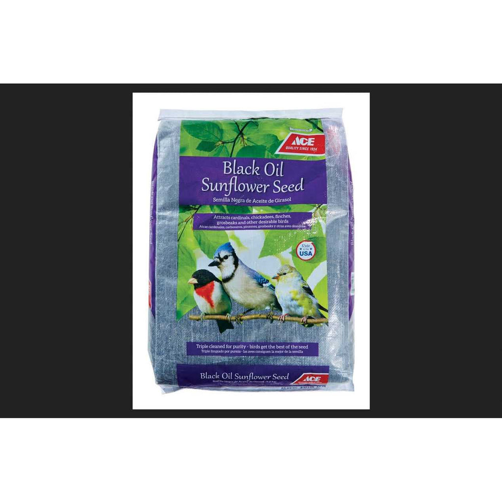 Black Oil Sunflower Seed Wild Bird Food C251
