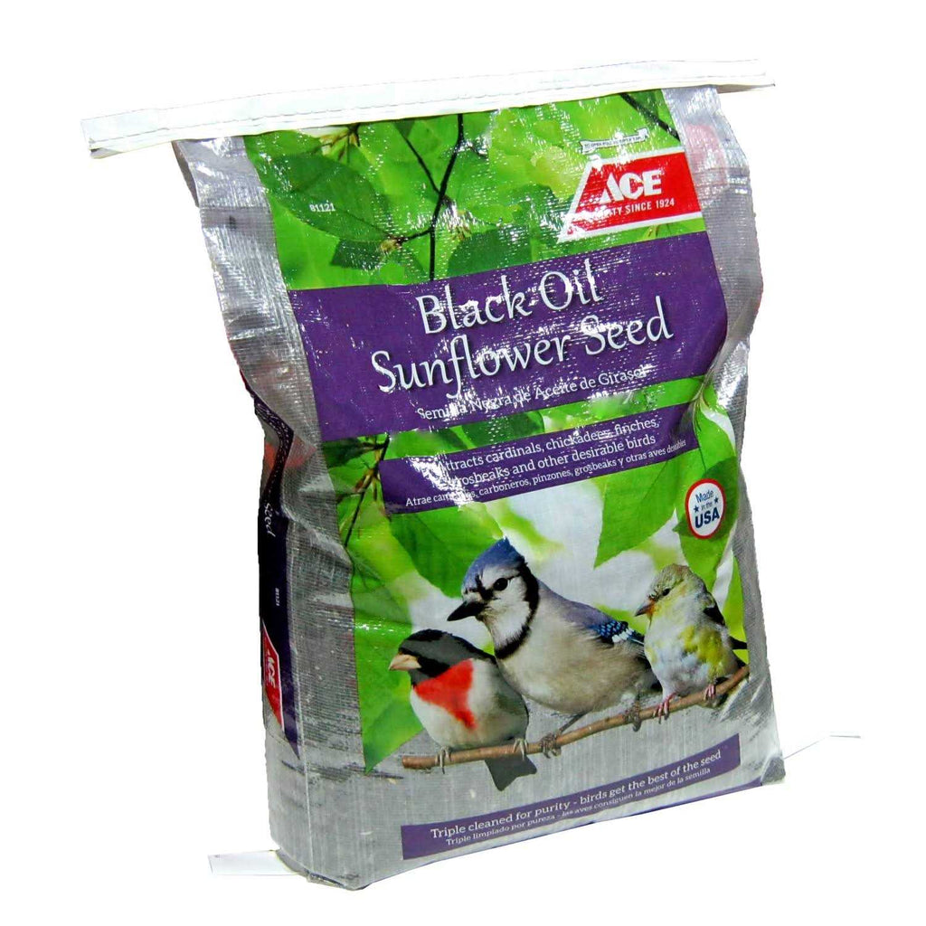 Black Oil Sunflower Seed Wild Bird Food C251