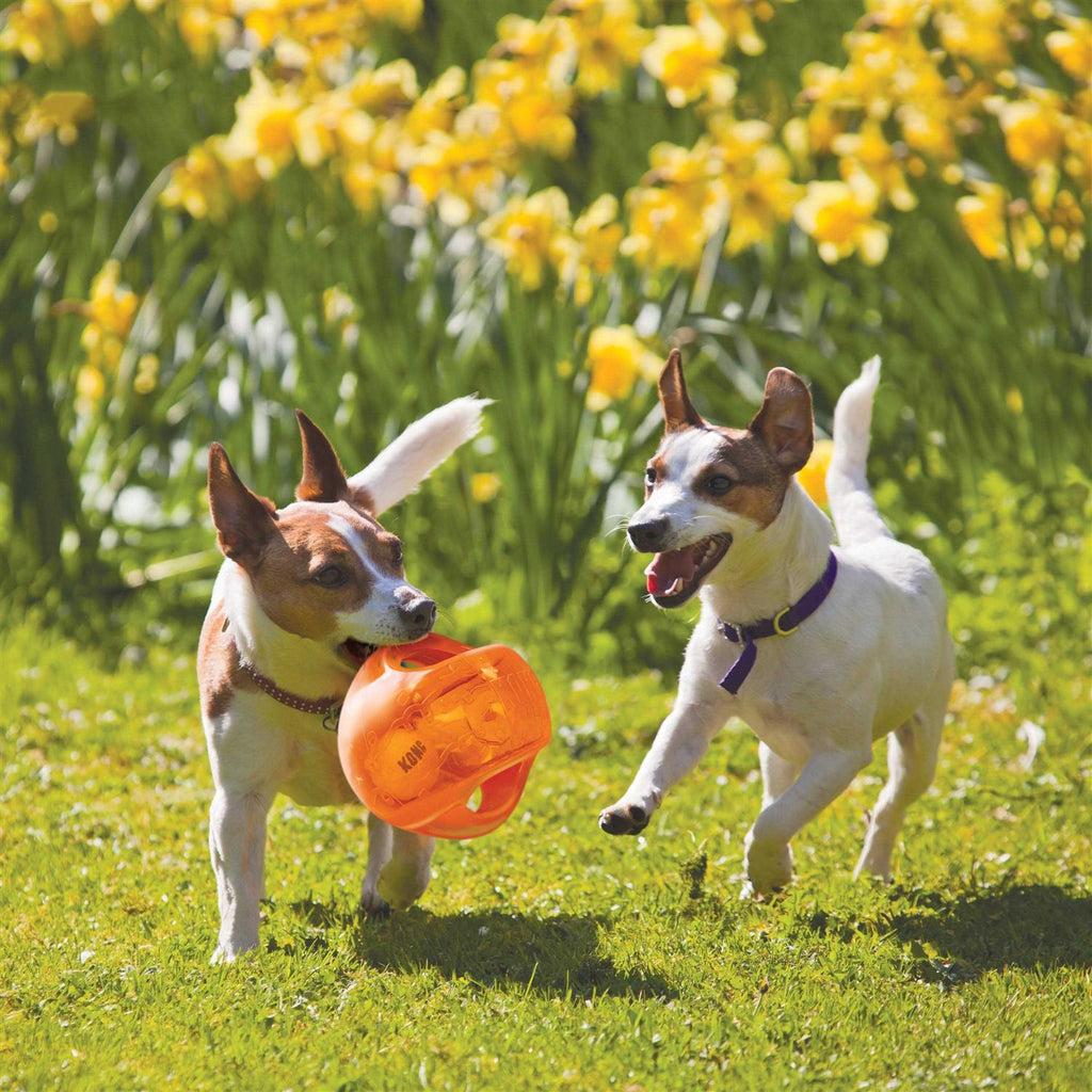 Jumbler Ball Dog Toy T1928