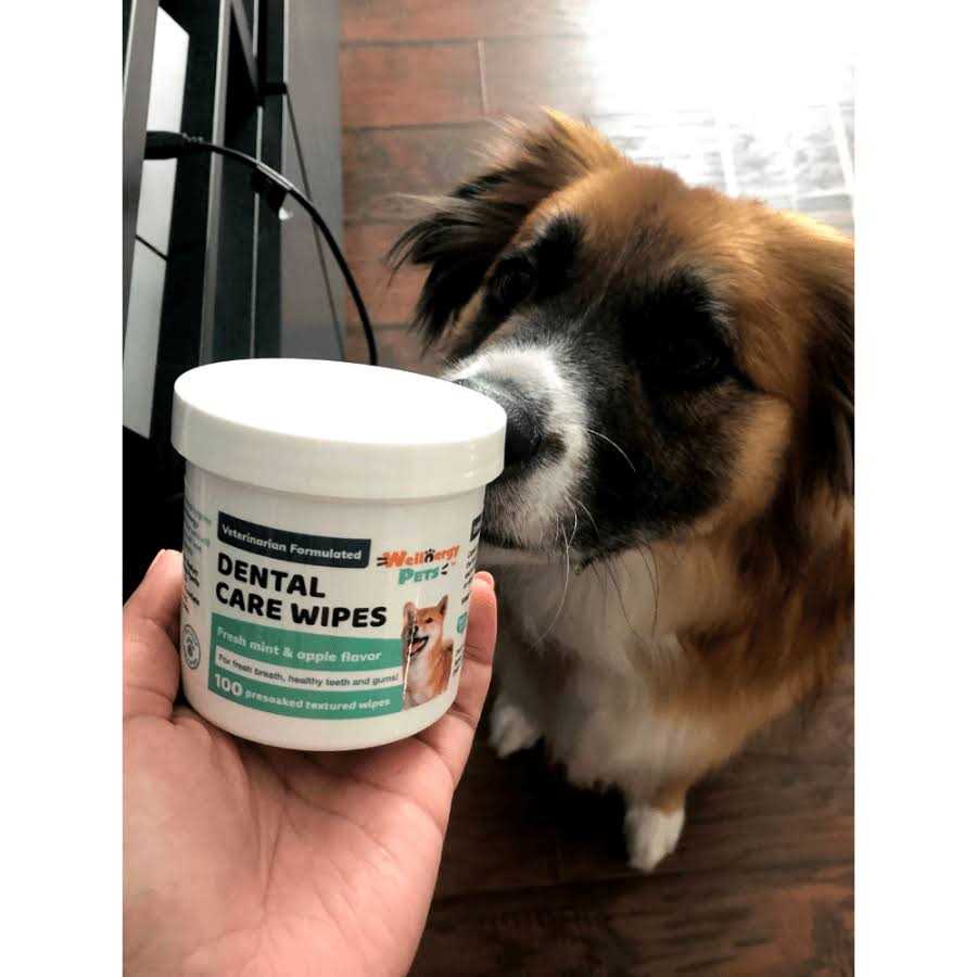 Dental Care Wipes for Dogs U403959