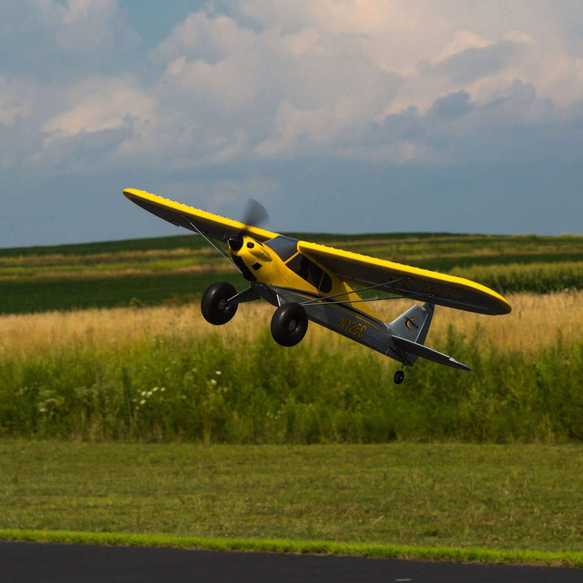 RC Airplane Carbon Cub S 2 1.3m RTF Basic D8102