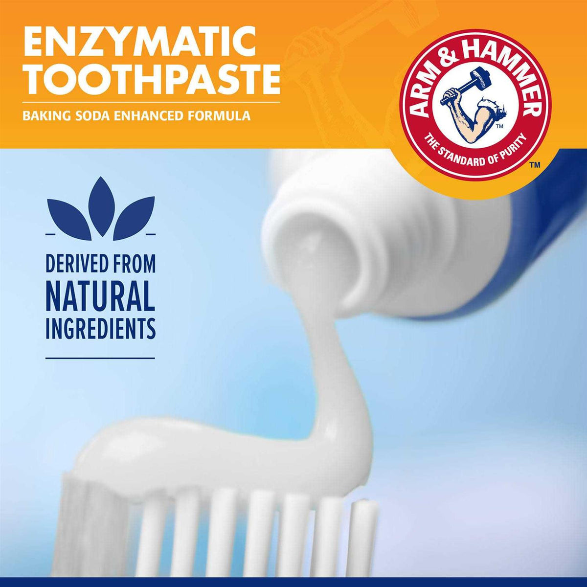 Tartar Control Enzymatic Toothpaste for Dogs B101