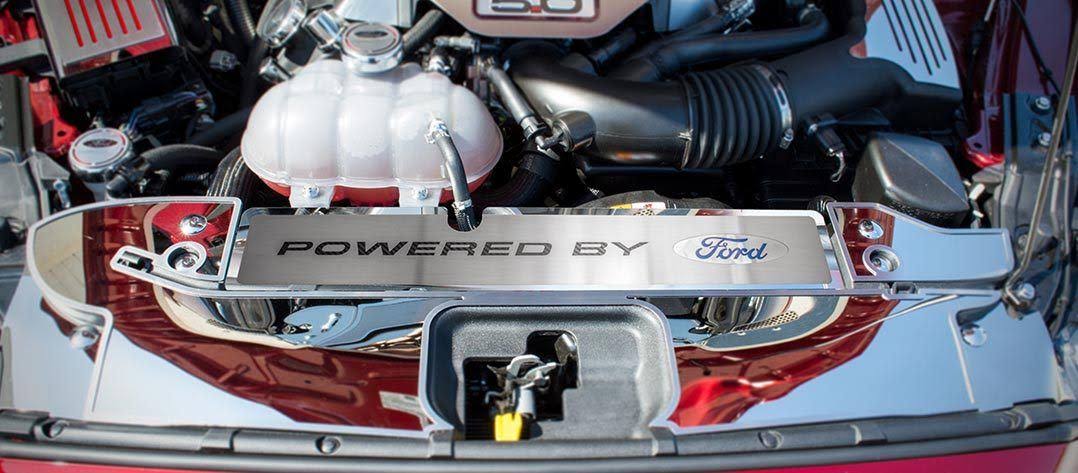 Mustang Radiator Cover Vanity Plate Y631