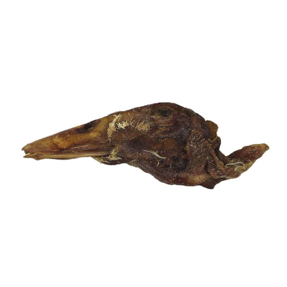 Freeze-Dried Raw Duck Head Pet Treat Y32082
