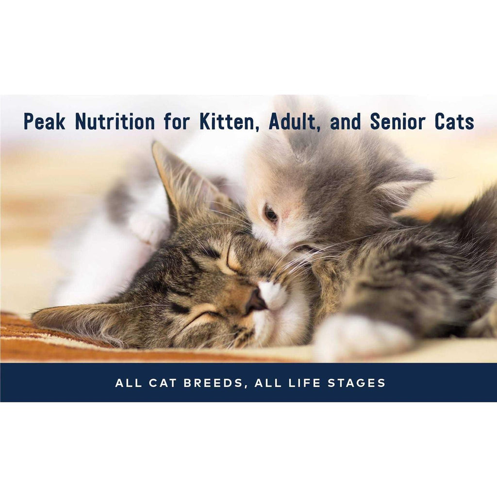 Chicken Recipe Canned Cat Food Y199