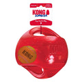Jumbler Ball Dog Toy T1928