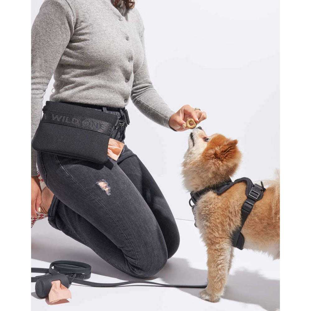 Cotton Dog Treat Pouch V237492