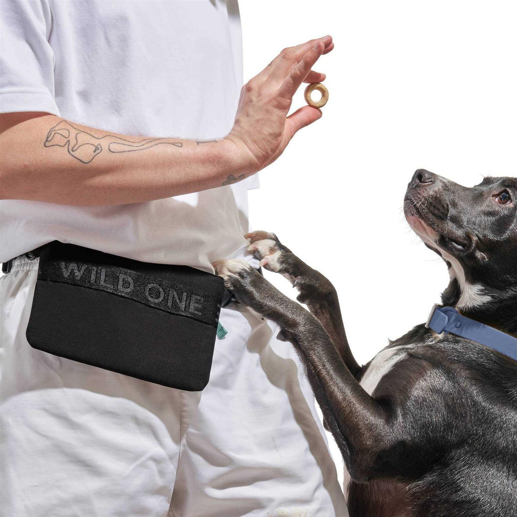 Cotton Dog Treat Pouch V237492