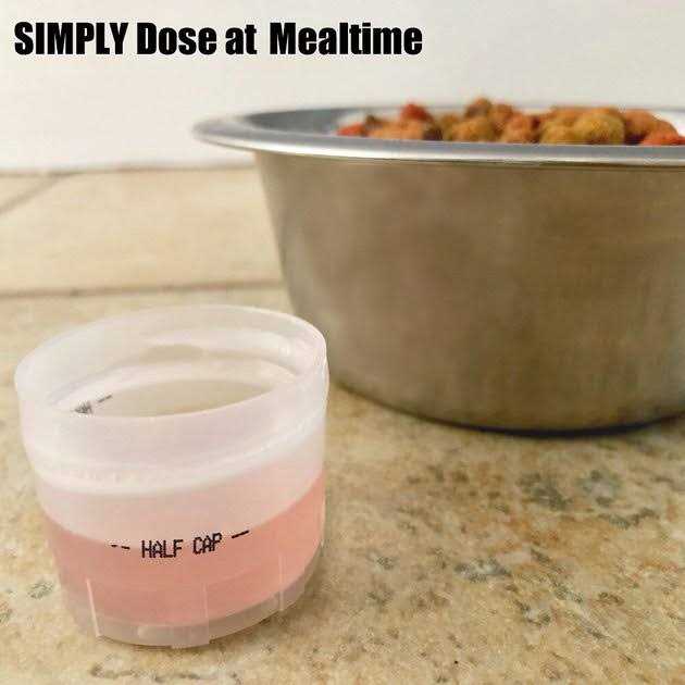 Cat Dental Formula D633730