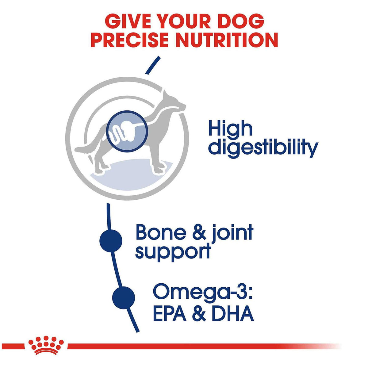 Large Breed Adult Dog Dry Food G505